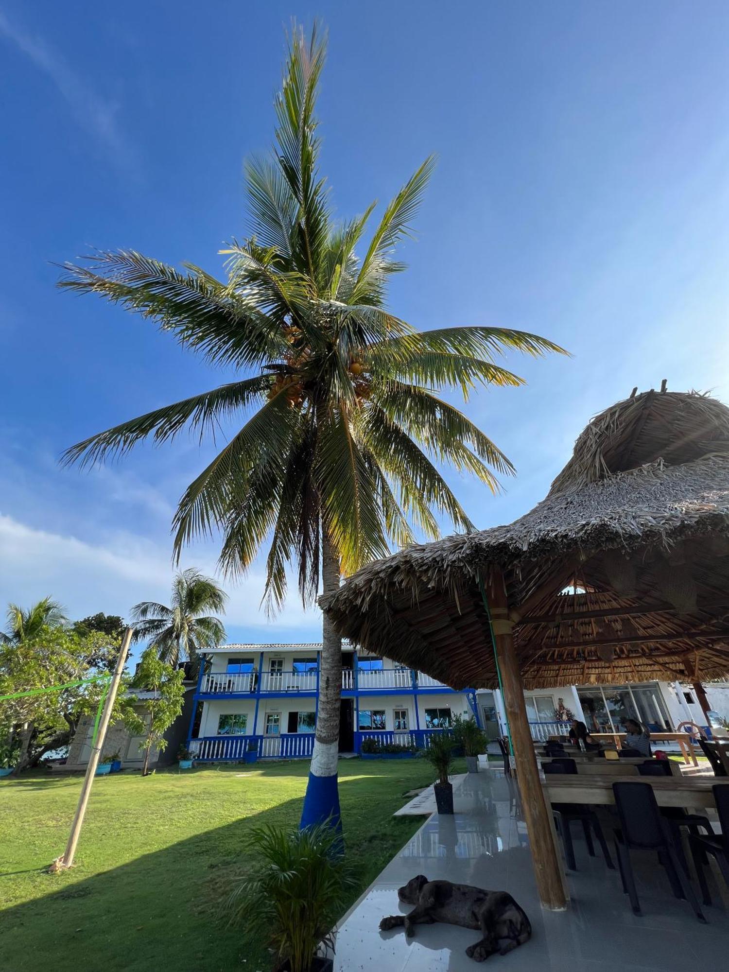 Tintipan Hotel Tintipan Island Eksteriør billede